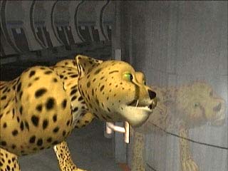 Cheetor looks at his reflection