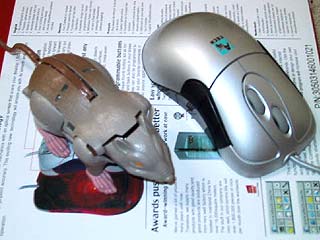 Rattrap and a mouse
