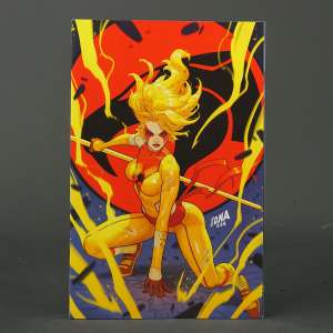 THUNDERCATS #5 Cvr J LTD Dynamite Comics 2024 APR240220 5J (CA) Nakayama