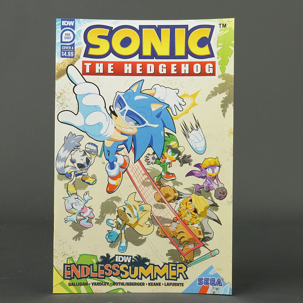 SONIC THE HEDGEHOG ENDLESS SUMMER Cvr A IDW Comics 2023 JUN231423 (CA) Yardley