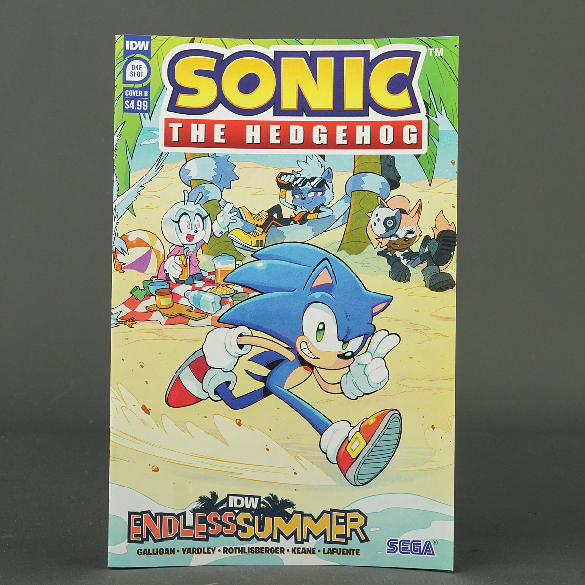 SONIC THE HEDGEHOG ENDLESS SUMMER Cvr B IDW Comics 2023 JUN231424 (CA) Lawrence