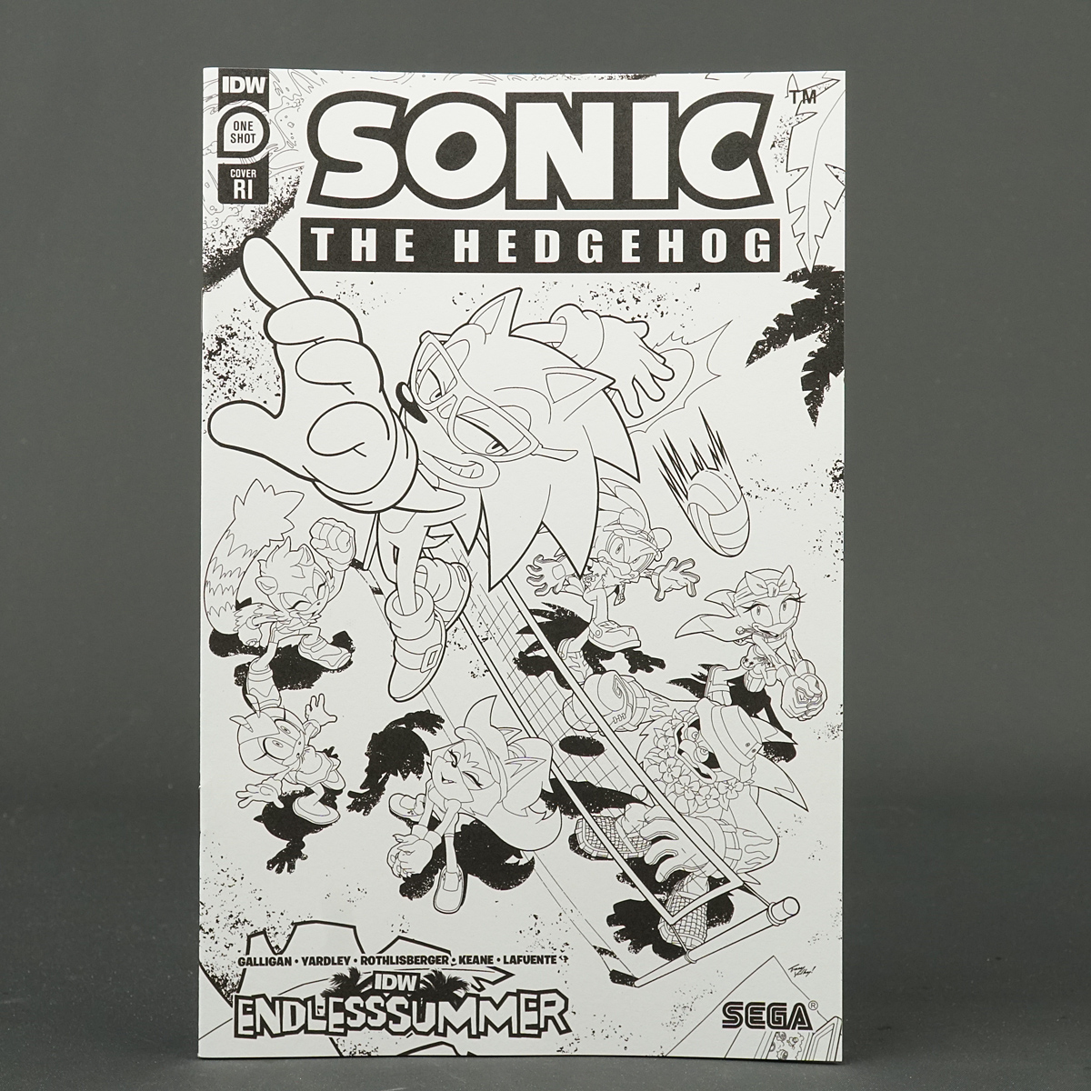 SONIC THE HEDGEHOG ENDLESS SUMMER Cvr C IDW Comics JUN231425 (CA) Yardley