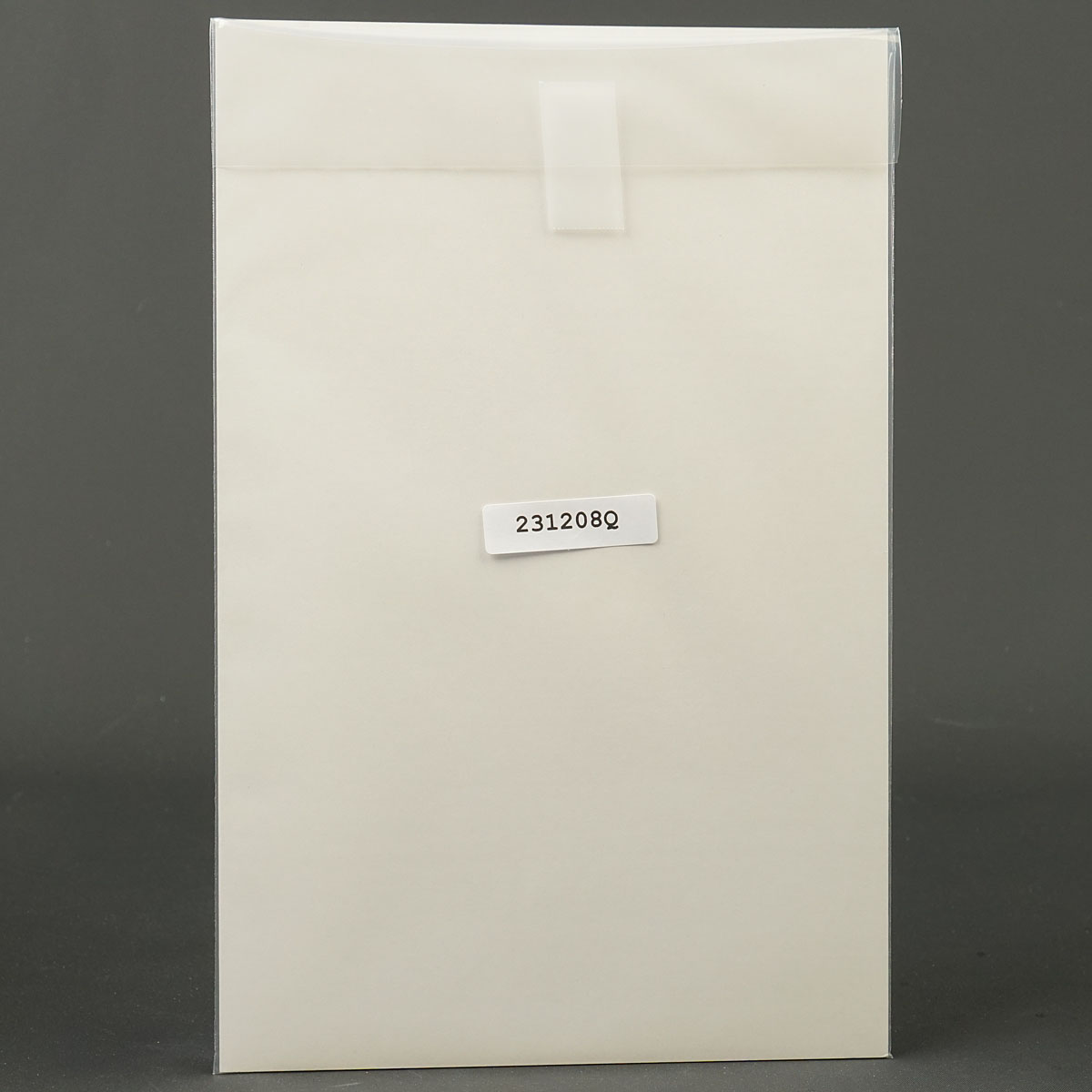 Transformers Spotlight GALVATRON Cvr B IDW Comics 2007 (CA) Milne