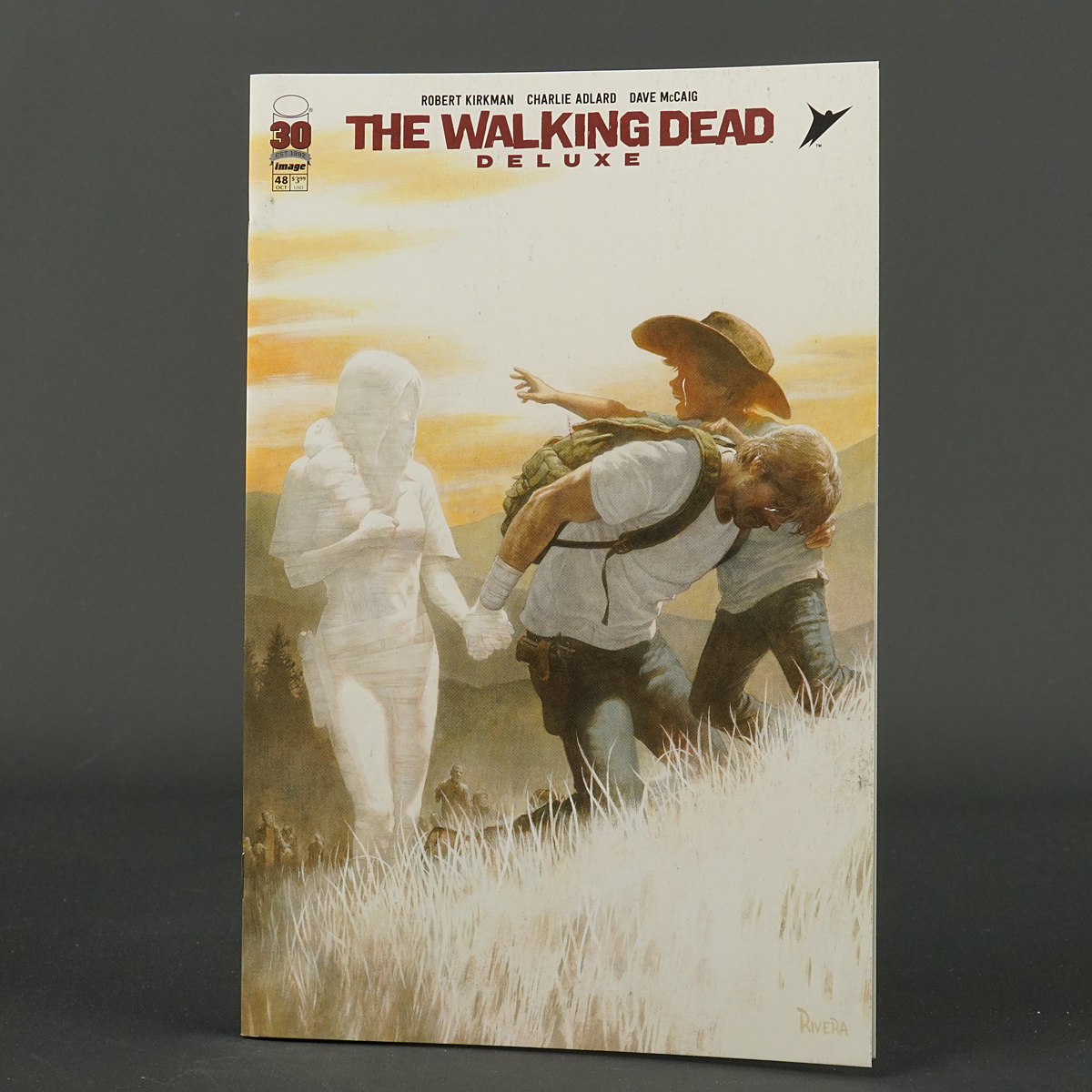 WALKING DEAD DLX #48 Cvr C Image Comics 2022 AUG220254 48C (CA) Rivera