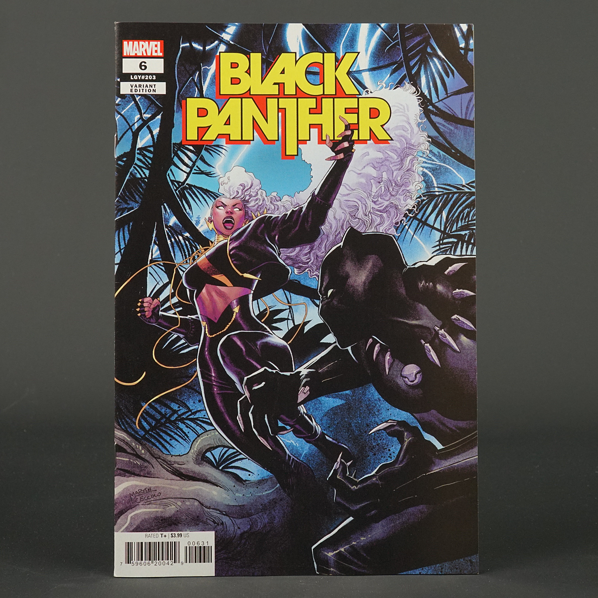 BLACK PANTHER #6 var 1:25 Marvel Comics 2022 MAR221043 (CA) Coccolo 220614A