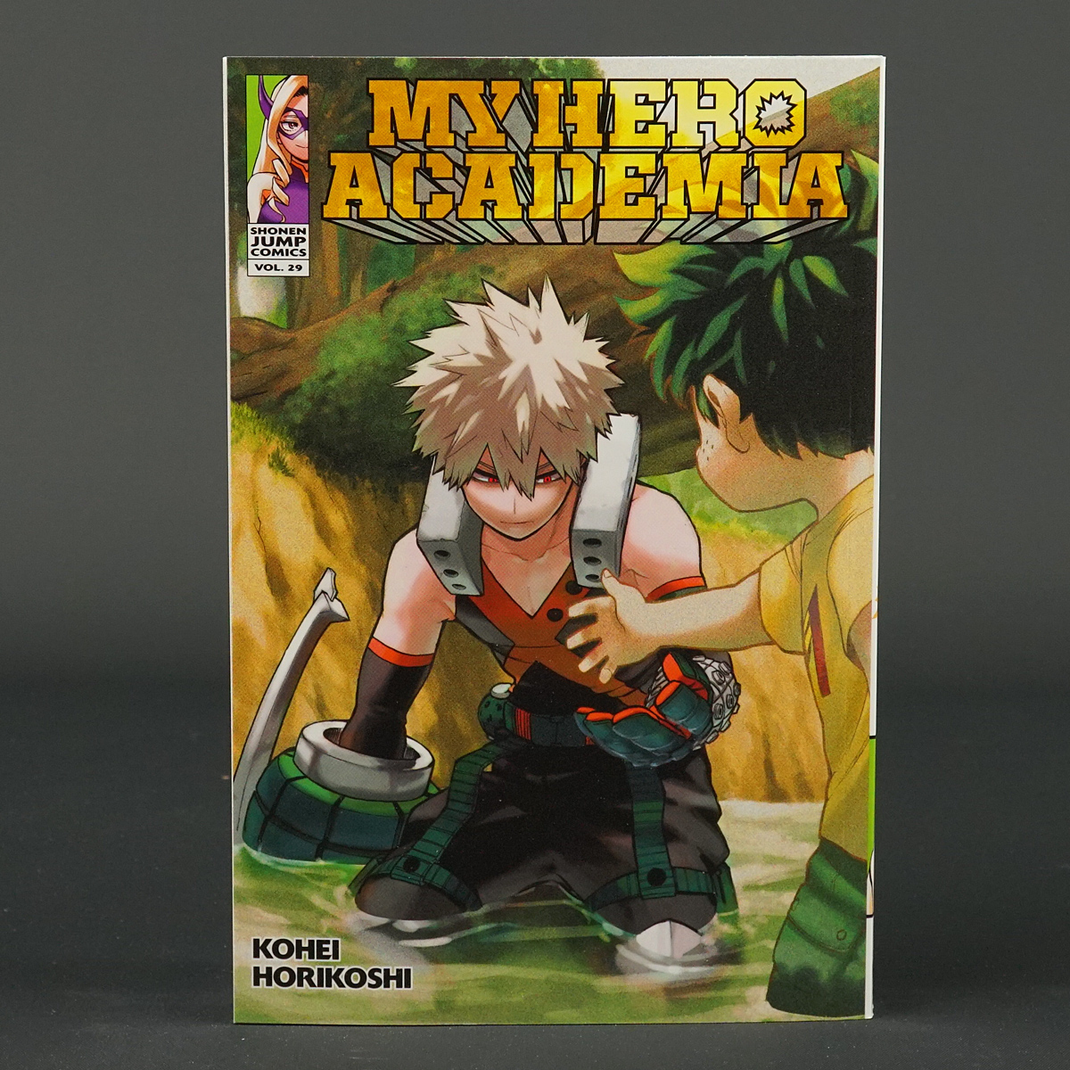 MY HERO ACADEMIA Vol 29 VIZ Media Comics 2021 GN TPB #29 Paperback (CA)Horikoshi