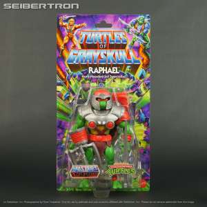 RAPHAEL Turtles of Grayskull MOTU + TMNT Mattel 2024 New