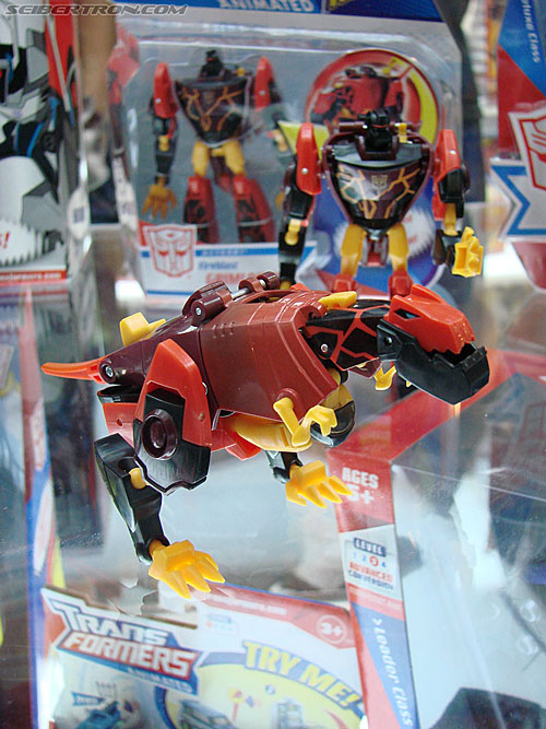 BotCon 2009 - Transformers Animated figures