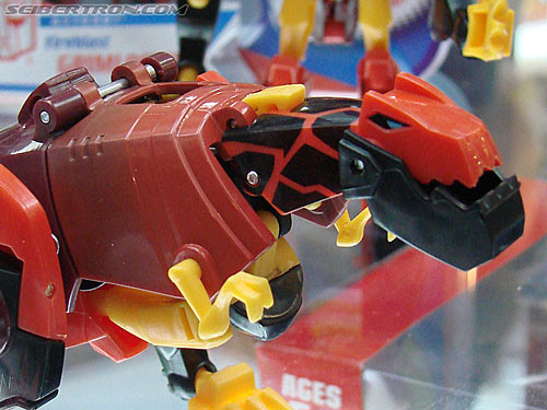 BotCon 2009: Transformers Animated figures - Transformers Event: DSC04699a
