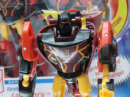 BotCon 2009 - Transformers Animated figures