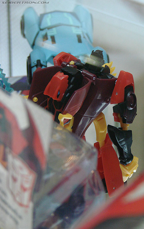 BotCon 2009: Transformers Animated figures - Transformers Event: DSC04769