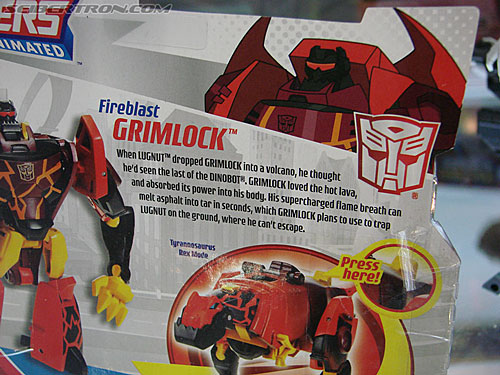 BotCon 2009: Transformers Animated figures - Transformers Event: DSC04771