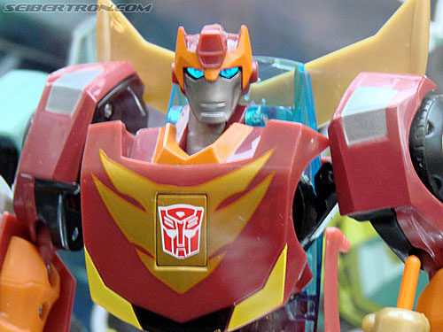 BotCon 2009: Transformers Animated figures - Transformers Event: DSC05688a