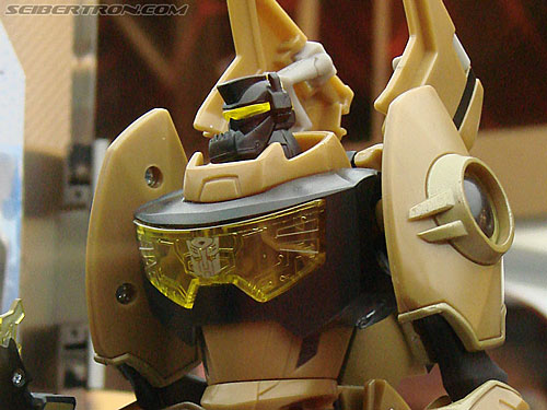 BotCon 2009 - Transformers Animated figures