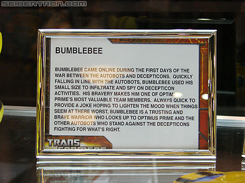BotCon 2010: "Hall of Fame" Display Area and Awards Dinner - Transformers Event: DSC03027