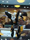 BotCon 2010: Hunt For The Decepticons toys (pt 2) - Transformers Event: DSC03341