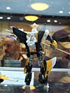 BotCon 2010: Hunt For The Decepticons toys (pt 2) - Transformers Event: DSC03342