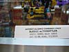 BotCon 2010: Power Core Combiners - Transformers Event: DSC03431