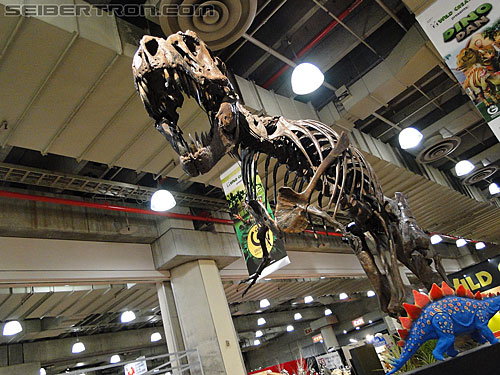 Toy Fair 2011: Toy Fair at Javits Center - Transformers Event: DSC05235