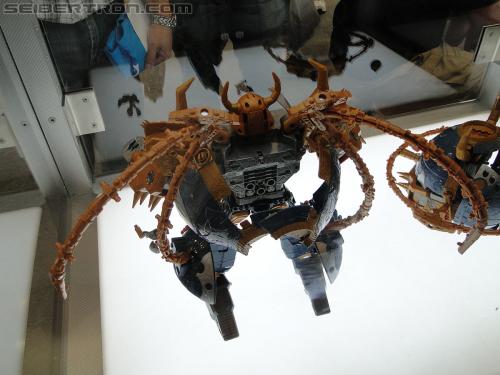 Botcon 2011: Transformers Retail Exclusives Display Area - Transformers Event: DSC10072