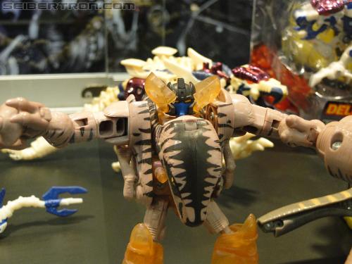 Botcon 2011: Hall of Fame Display Area - Transformers Event: DSC00541
