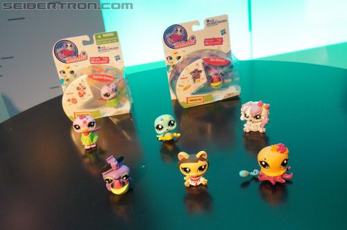 Toy Fair 2012: My Little Pony and Littlest Pet Shop - Transformers Event: DSC05493