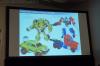 SDCC 2012: Panel - Hasbro: Transformers Brand - Transformers Event: DSC01793