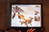 NYCC 2012: Hasbro's Transformers Panel - Transformers Event: DSC02146