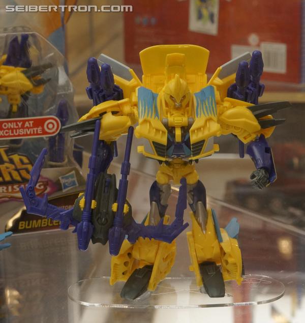 BotCon 2013: Hasbro Display: Beast Hunters and Beast Hunters Predacons Rising - Transformers Event: DSC06525a