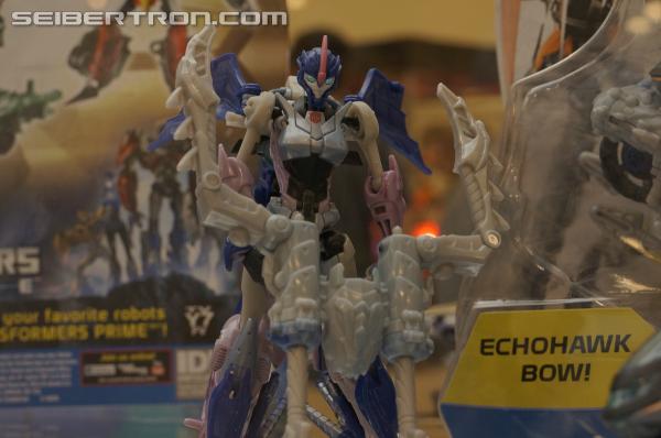 BotCon 2013: Hasbro Display: Beast Hunters and Beast Hunters Predacons Rising - Transformers Event: DSC16361