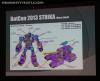 BotCon 2013: Panels: Hasbro, Club and Rescue Bots - Transformers Event: DSC06949