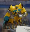 SDCC 2013: Hasbro Display: Playskool's Transformers Rescue Bots - Transformers Event: DSC03778
