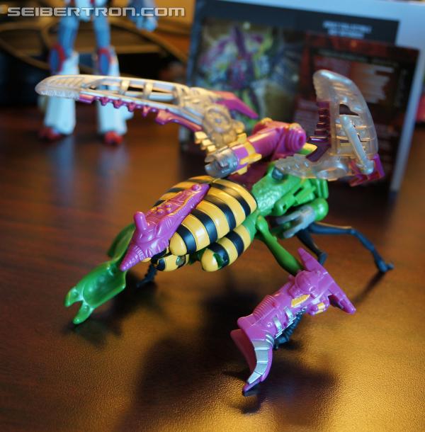 BotCon 2014 - Subscription Service Thrustinator and Rewind Teaser Gallery