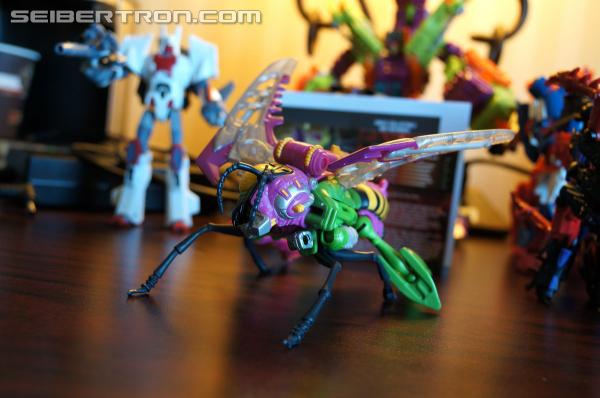 BotCon 2014 - Subscription Service Thrustinator and Rewind Teaser Gallery