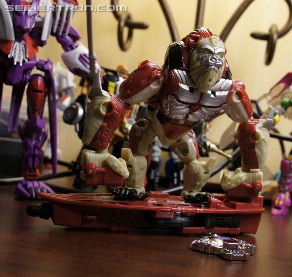 BotCon 2014 - Pirates vs Knights Souvenir Exclusives