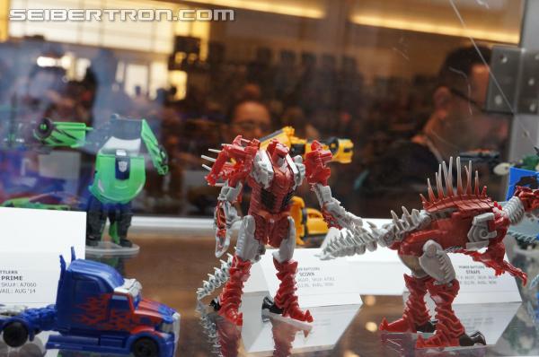 BotCon 2014 - Hasbro Display: Age of Extinction Robots In Disguise