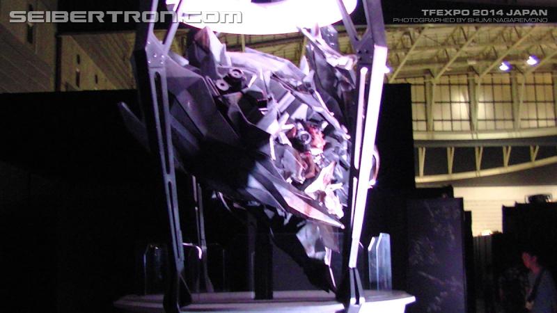TFExpo 2014 Japan - Transformers Event: PIC 2911 R
