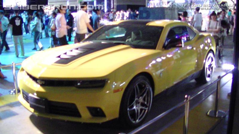 TFExpo 2014 Japan - Transformers Event: PIC 2983 R