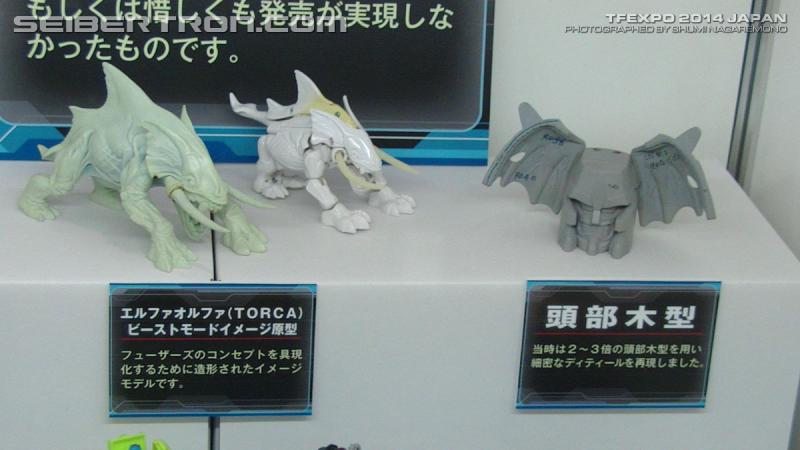 TFExpo 2014 Japan - Transformers Event: PIC 3051 R