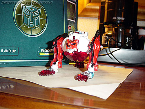 BotCon 2002: Convention Exclusives Gallery - Transformers Event: Botcon-2002-exclusives034