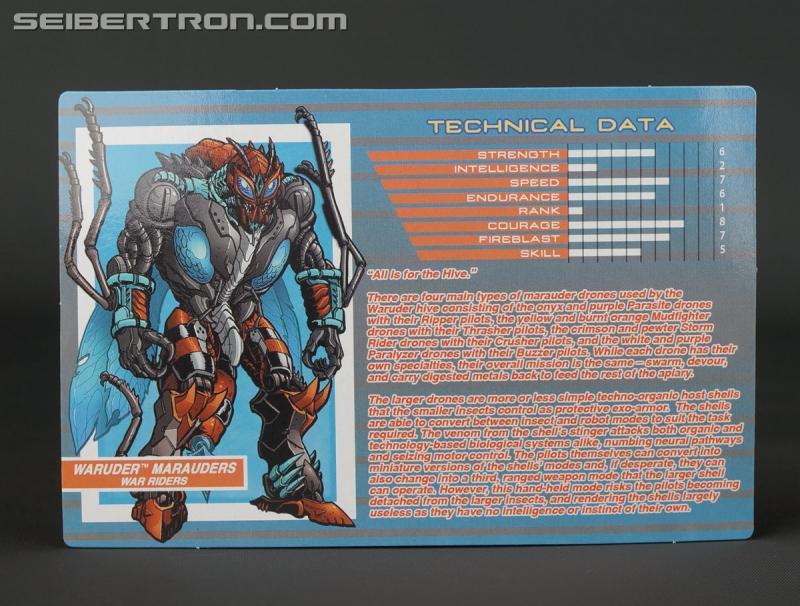 BotCon 2015: Souvenir Exclusives Mini-Gallery - Transformers Event: DSC10128