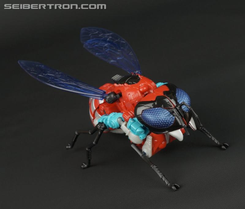 BotCon 2015: Souvenir Exclusives Mini-Gallery - Transformers Event: DSC10129