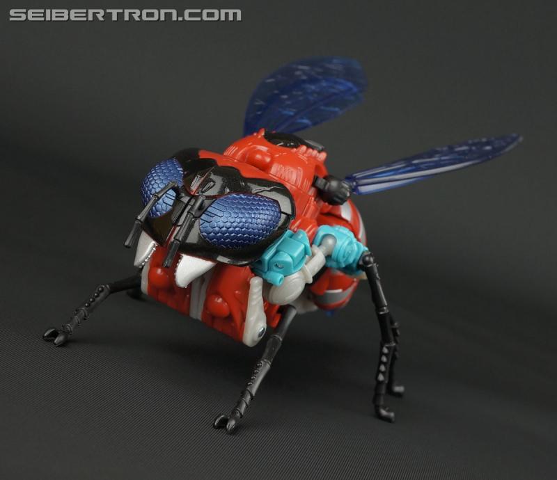 BotCon 2015: Souvenir Exclusives Mini-Gallery - Transformers Event: DSC10131
