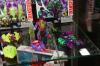 BotCon 2015: Transformers Robots In Disguise Product Display - Transformers Event: DSC09732