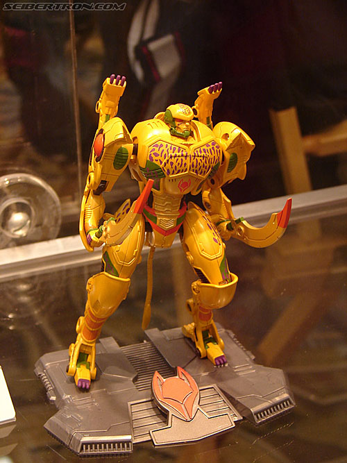 BotCon 2006: Hasbro's Toy Display Cases - Transformers Event: