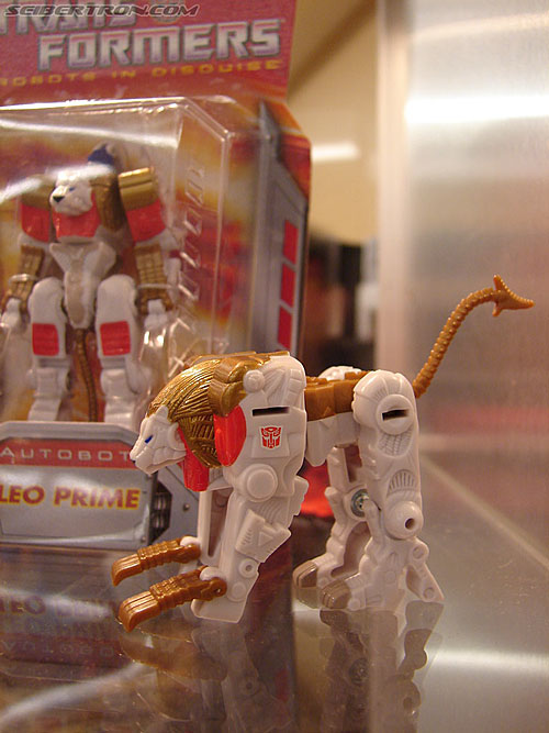 BotCon 2006: Hasbro's Toy Display Cases - Transformers Event: