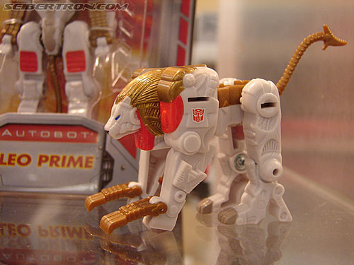BotCon 2006: Hasbro's Toy Display Cases - Transformers Event: