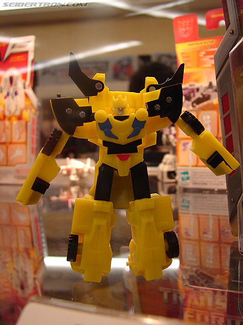 BotCon 2006: Hasbro's Toy Display Cases - Transformers Event:
