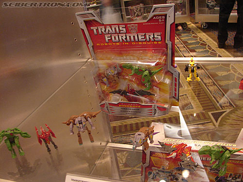 BotCon 2006: Hasbro's Toy Display Cases - Transformers Event: