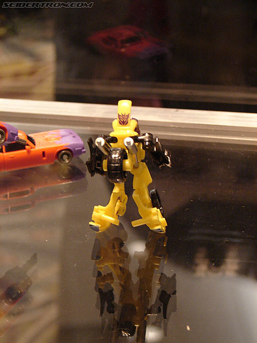 BotCon 2006: Hasbro's Toy Display Cases - Transformers Event: